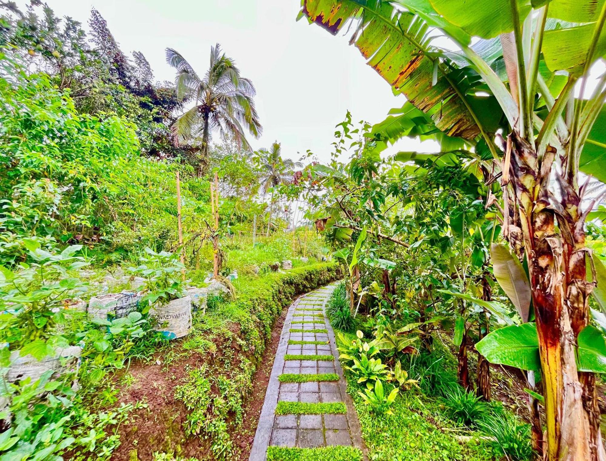 Pondok Is Oke Villa Scenic View Banyuwangi  Zewnętrze zdjęcie