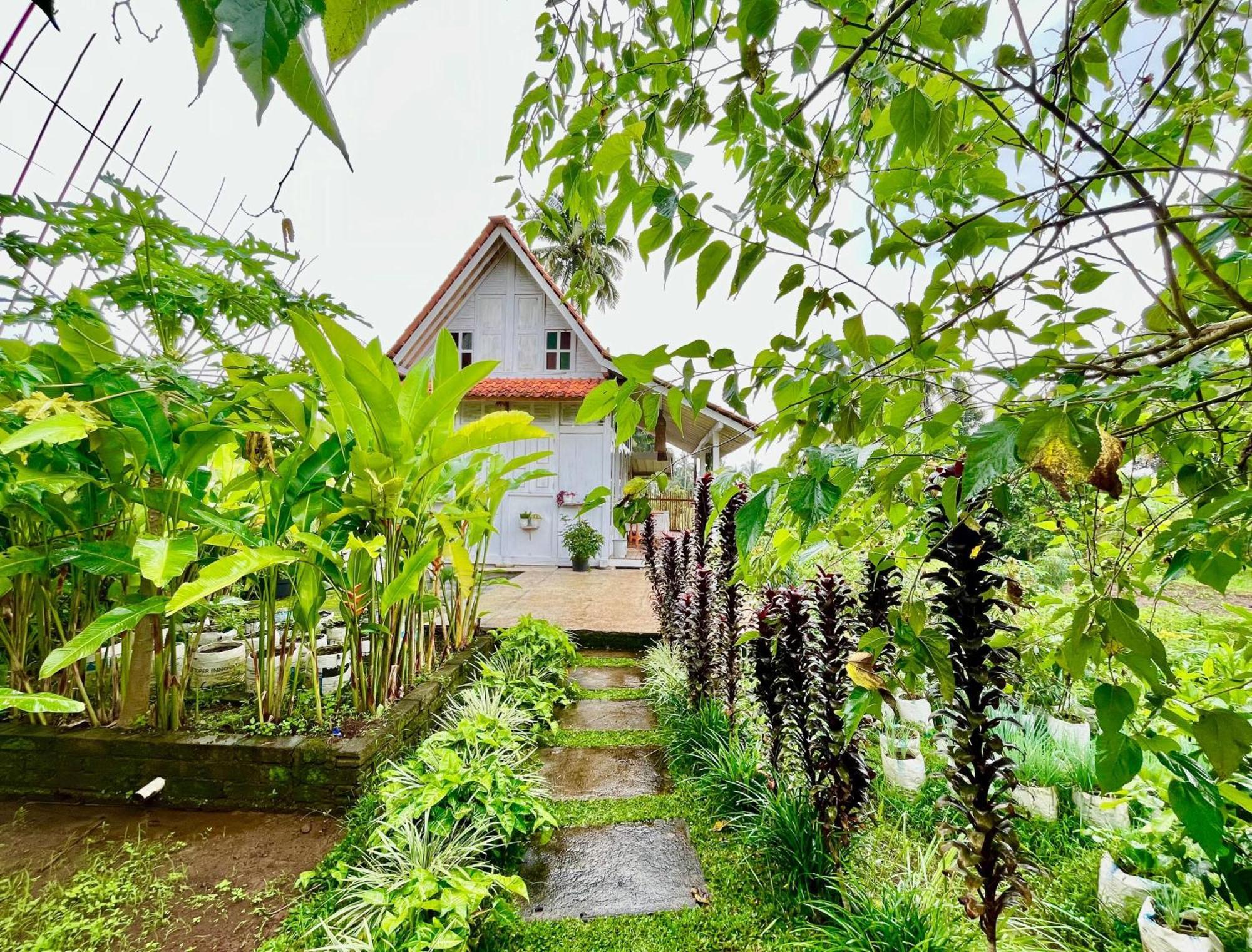Pondok Is Oke Villa Scenic View Banyuwangi  Zewnętrze zdjęcie