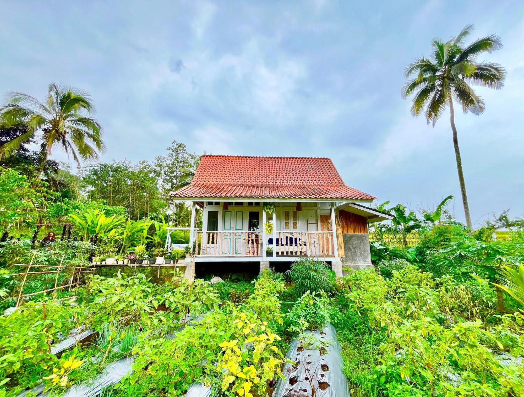 Pondok Is Oke Villa Scenic View Banyuwangi  Zewnętrze zdjęcie