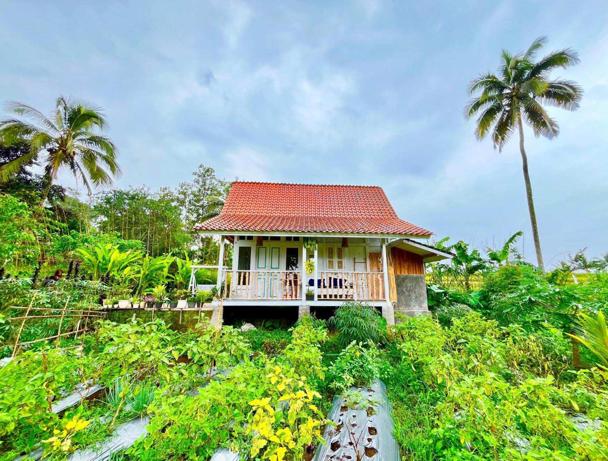 Pondok Is Oke Villa Scenic View Banyuwangi  Zewnętrze zdjęcie