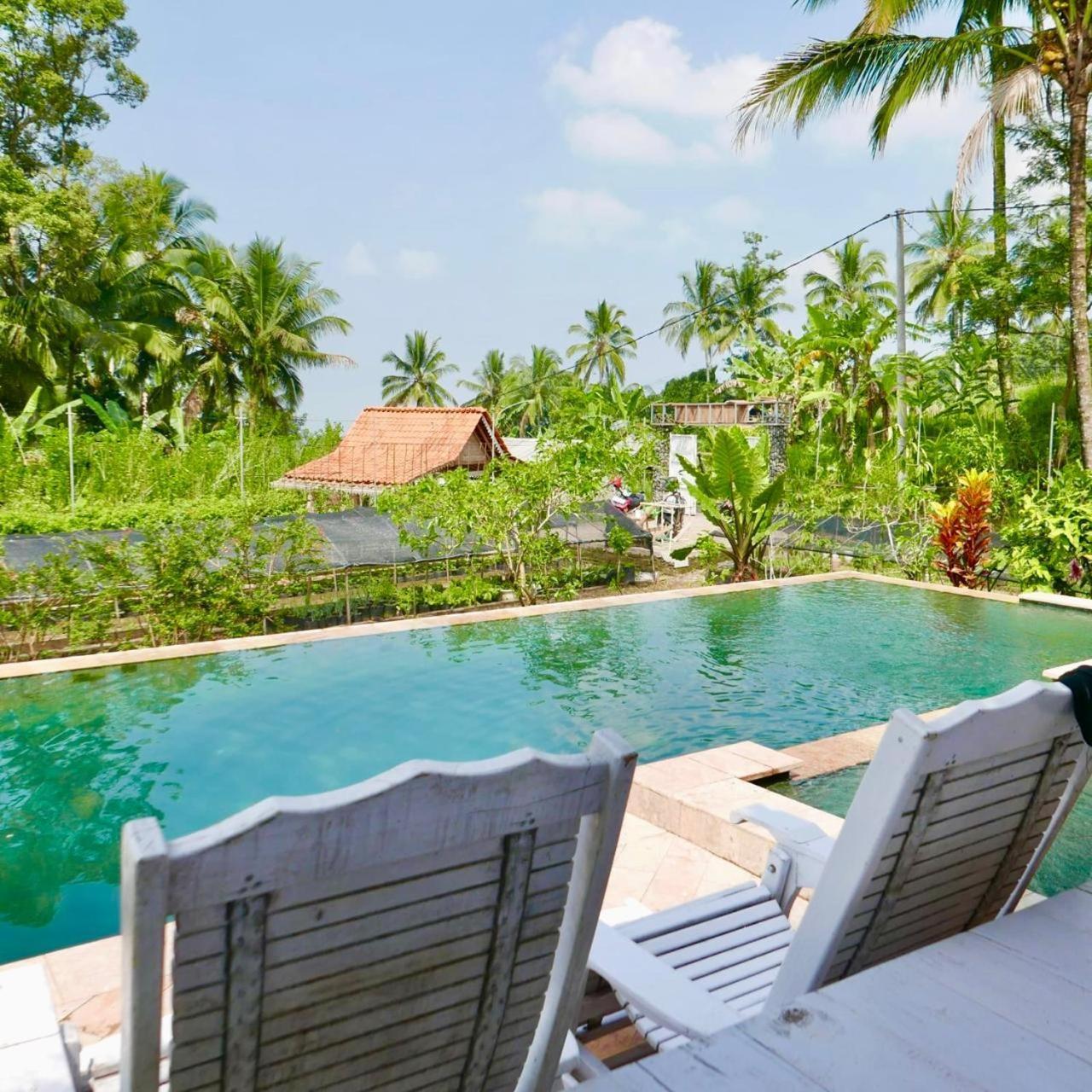 Pondok Is Oke Villa Scenic View Banyuwangi  Zewnętrze zdjęcie