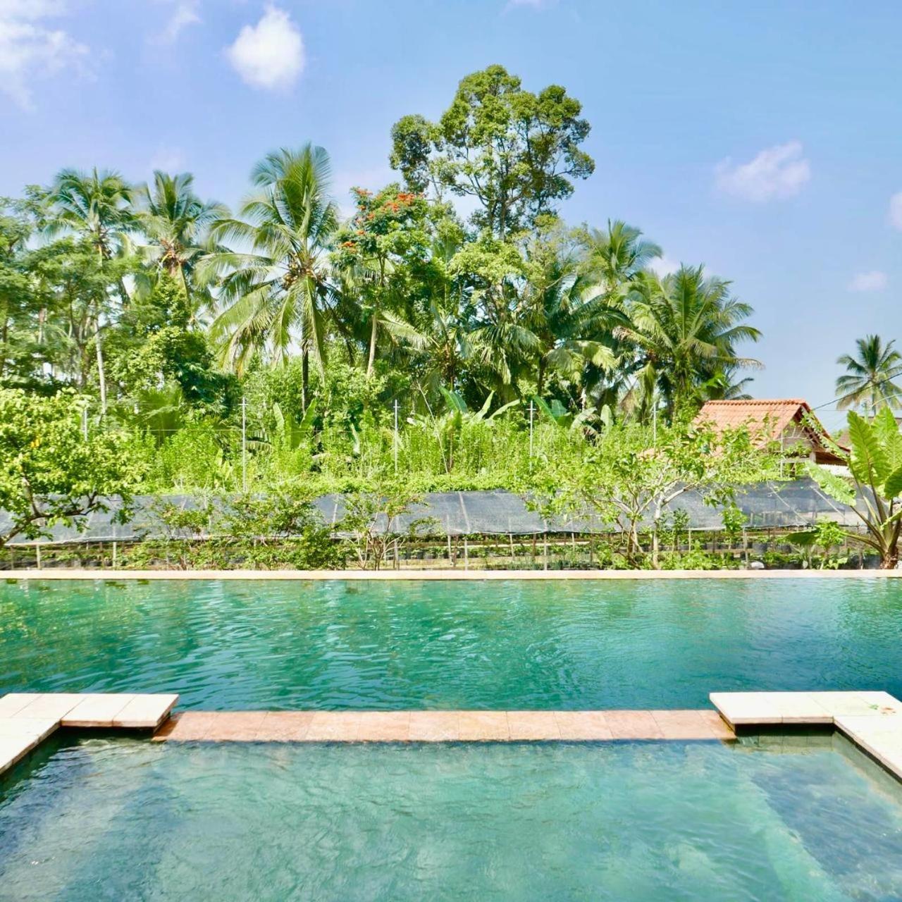Pondok Is Oke Villa Scenic View Banyuwangi  Zewnętrze zdjęcie