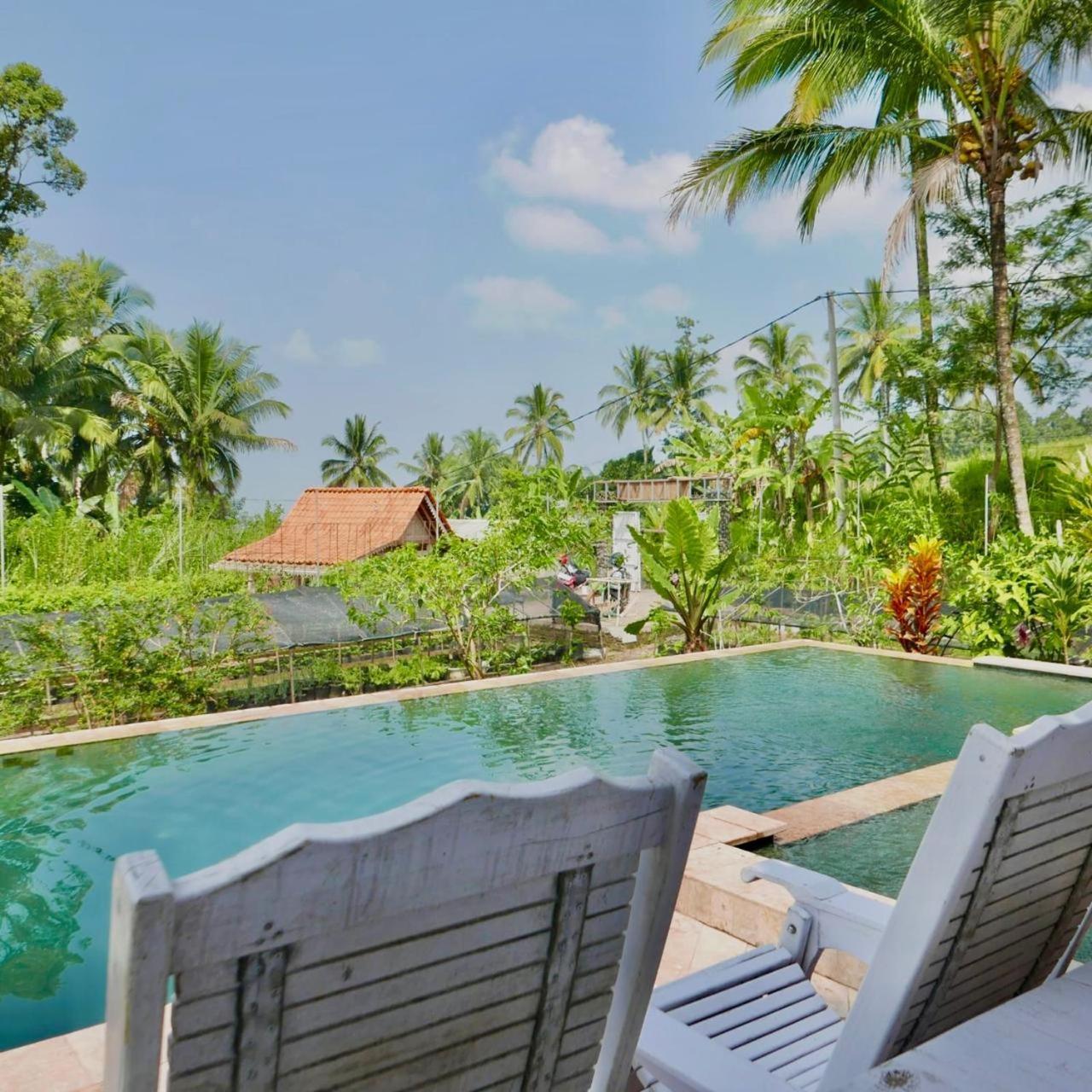 Pondok Is Oke Villa Scenic View Banyuwangi  Zewnętrze zdjęcie