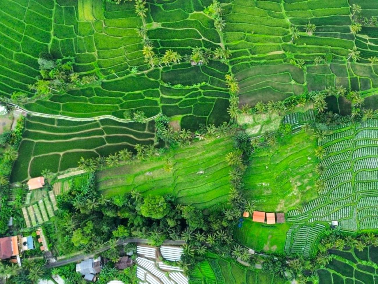 Pondok Is Oke Villa Scenic View Banyuwangi  Zewnętrze zdjęcie
