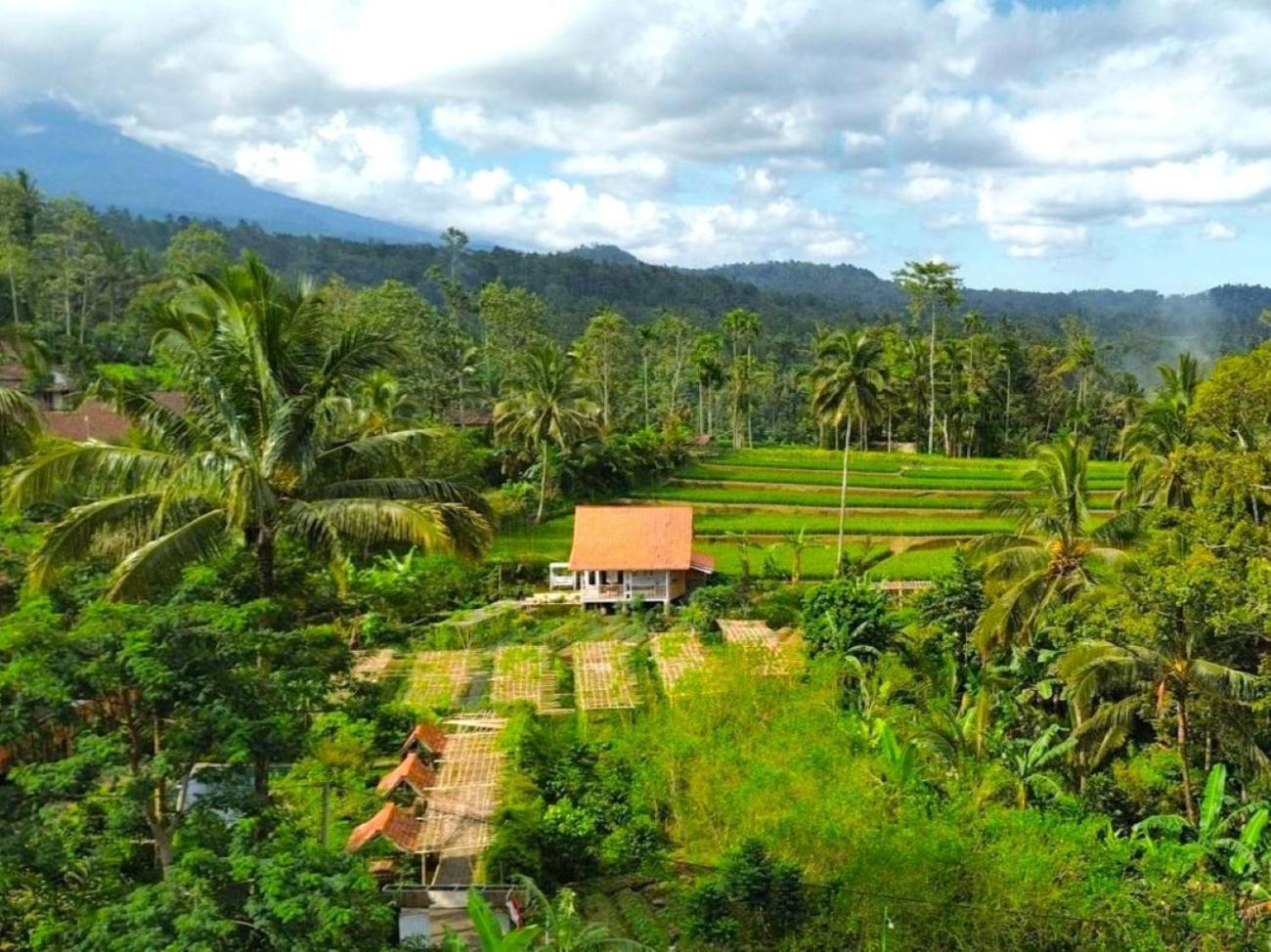 Pondok Is Oke Villa Scenic View Banyuwangi  Zewnętrze zdjęcie