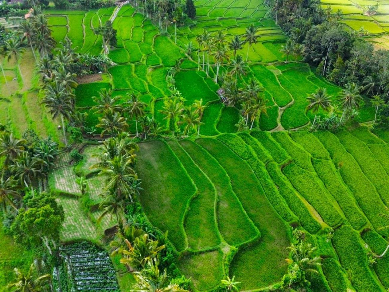 Pondok Is Oke Villa Scenic View Banyuwangi  Zewnętrze zdjęcie
