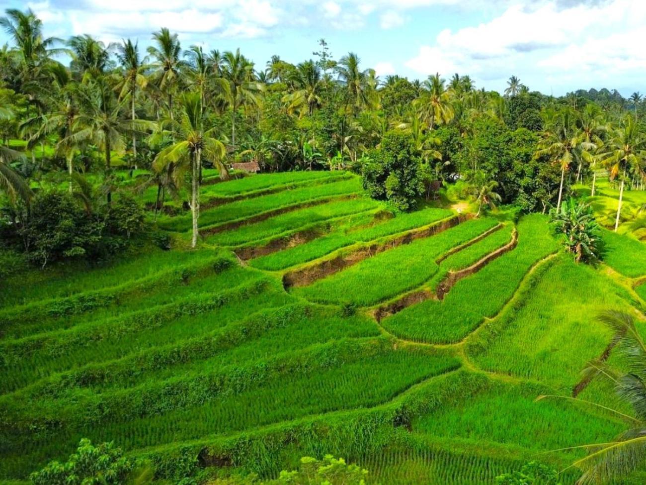 Pondok Is Oke Villa Scenic View Banyuwangi  Zewnętrze zdjęcie