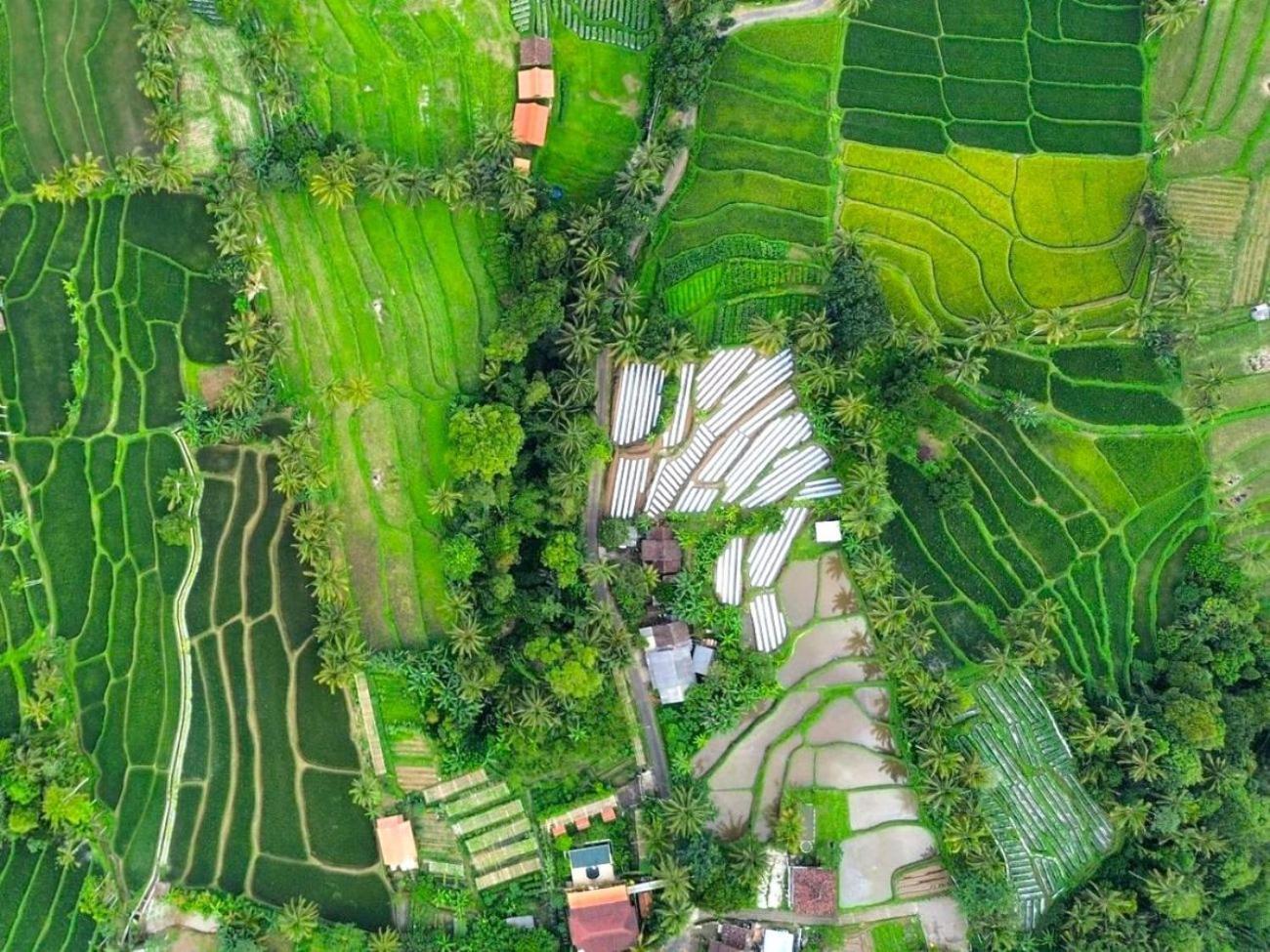 Pondok Is Oke Villa Scenic View Banyuwangi  Zewnętrze zdjęcie