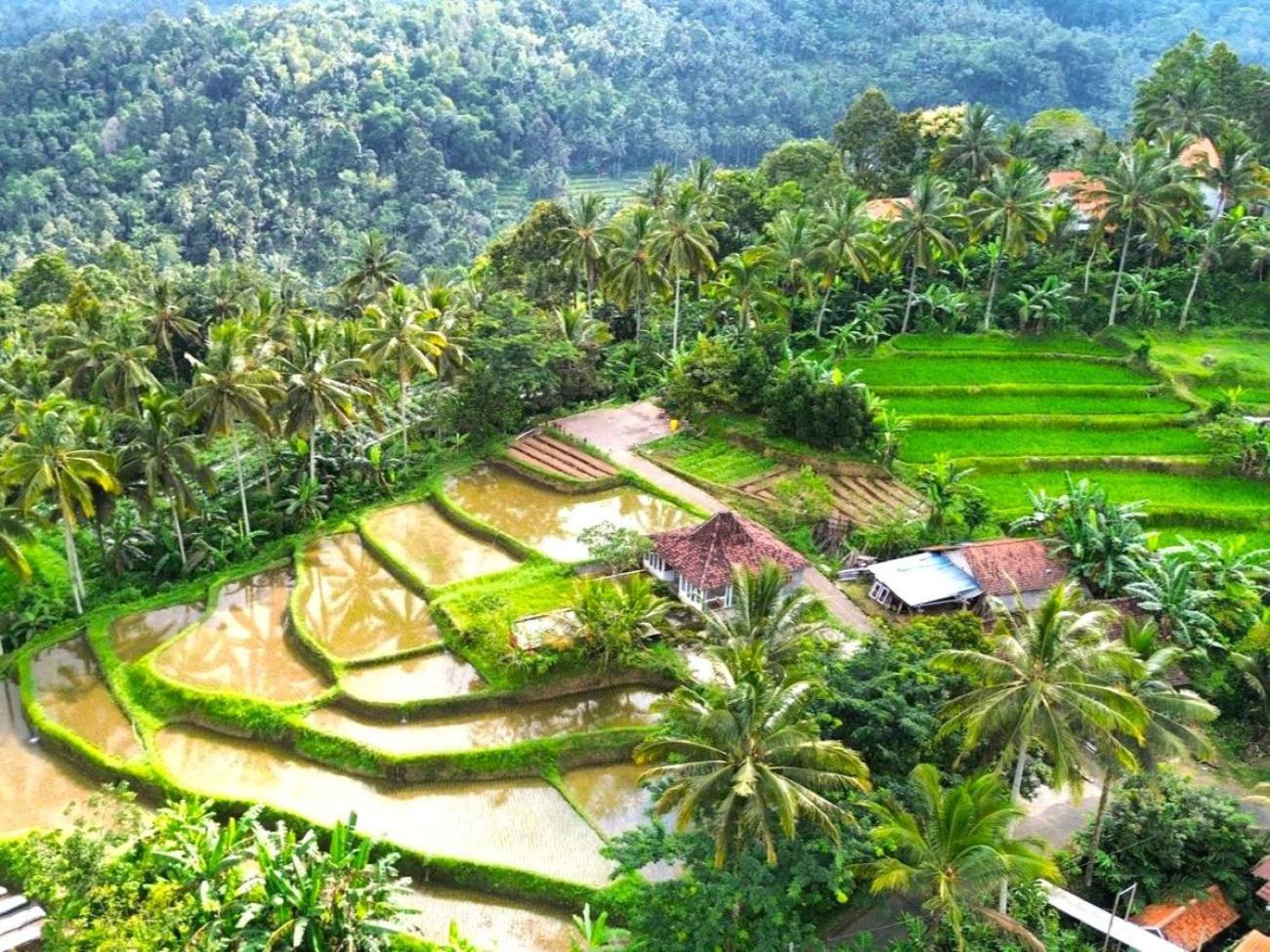 Pondok Is Oke Villa Scenic View Banyuwangi  Zewnętrze zdjęcie
